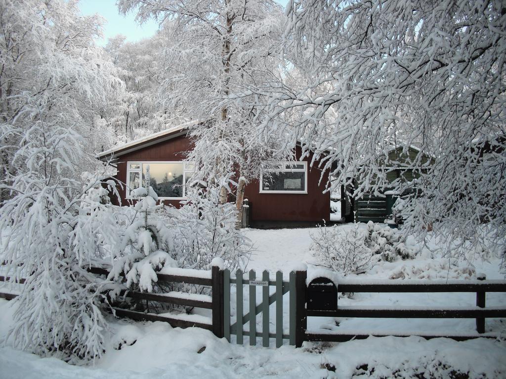 Torcroft Lodges Drumnadrochit Cameră foto